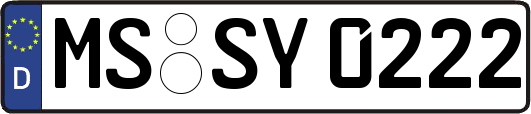 MS-SY0222