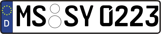MS-SY0223