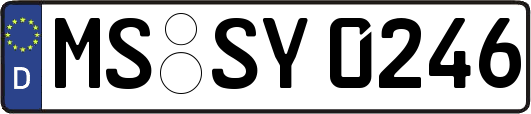 MS-SY0246