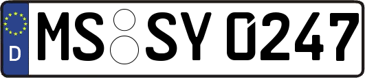 MS-SY0247