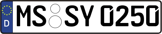 MS-SY0250