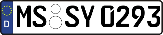 MS-SY0293