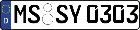 MS-SY0303