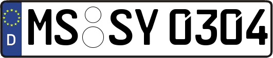 MS-SY0304