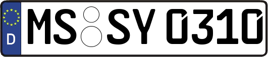MS-SY0310