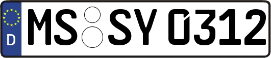 MS-SY0312