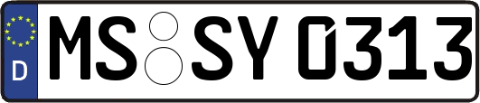 MS-SY0313