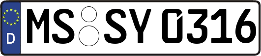 MS-SY0316
