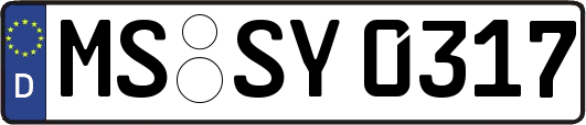 MS-SY0317