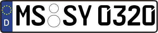 MS-SY0320