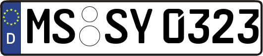 MS-SY0323