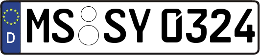 MS-SY0324
