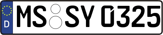 MS-SY0325