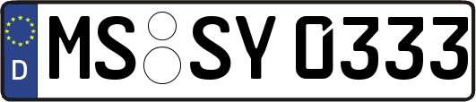 MS-SY0333