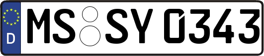 MS-SY0343