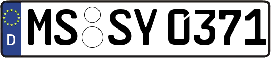 MS-SY0371