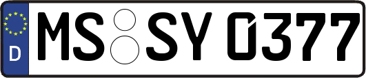 MS-SY0377