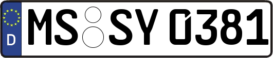 MS-SY0381