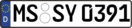 MS-SY0391