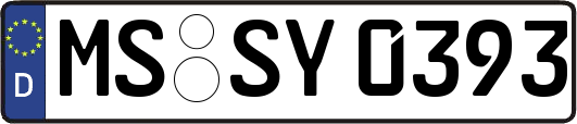 MS-SY0393