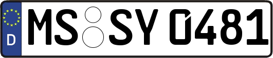 MS-SY0481