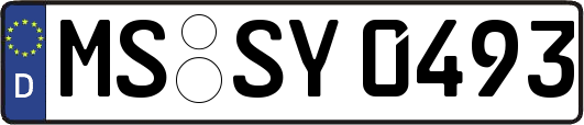 MS-SY0493