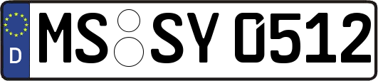 MS-SY0512