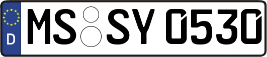 MS-SY0530