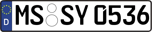 MS-SY0536