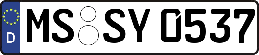 MS-SY0537
