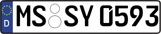 MS-SY0593