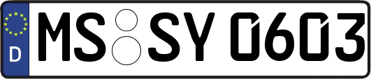 MS-SY0603