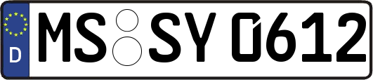 MS-SY0612