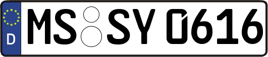 MS-SY0616