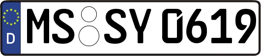 MS-SY0619