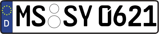 MS-SY0621