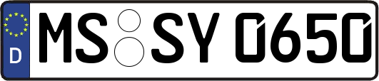 MS-SY0650