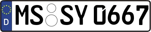 MS-SY0667