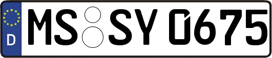 MS-SY0675