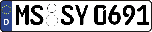 MS-SY0691