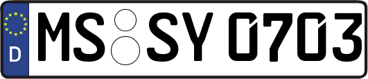MS-SY0703