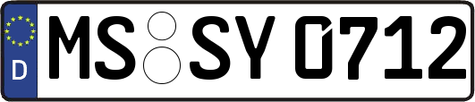 MS-SY0712