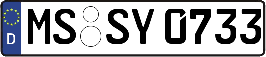 MS-SY0733