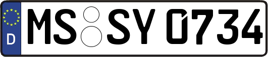 MS-SY0734