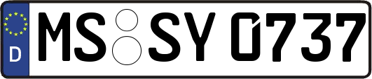 MS-SY0737