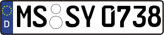 MS-SY0738
