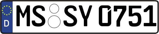 MS-SY0751
