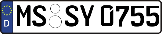 MS-SY0755