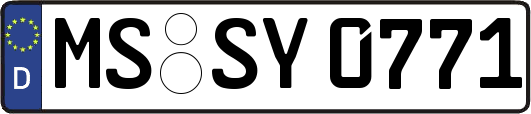 MS-SY0771