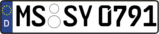 MS-SY0791
